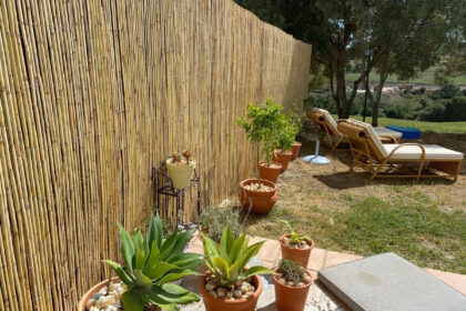 0412d4bb23075f6fa216459272827bbd - 13