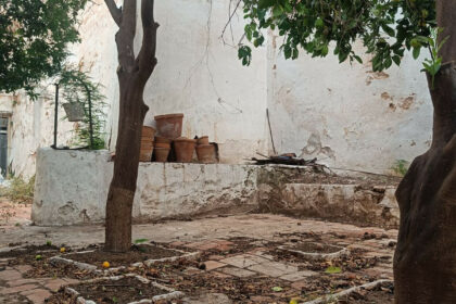 097ef68ed1f08e5762b592936a2193e5 - 32