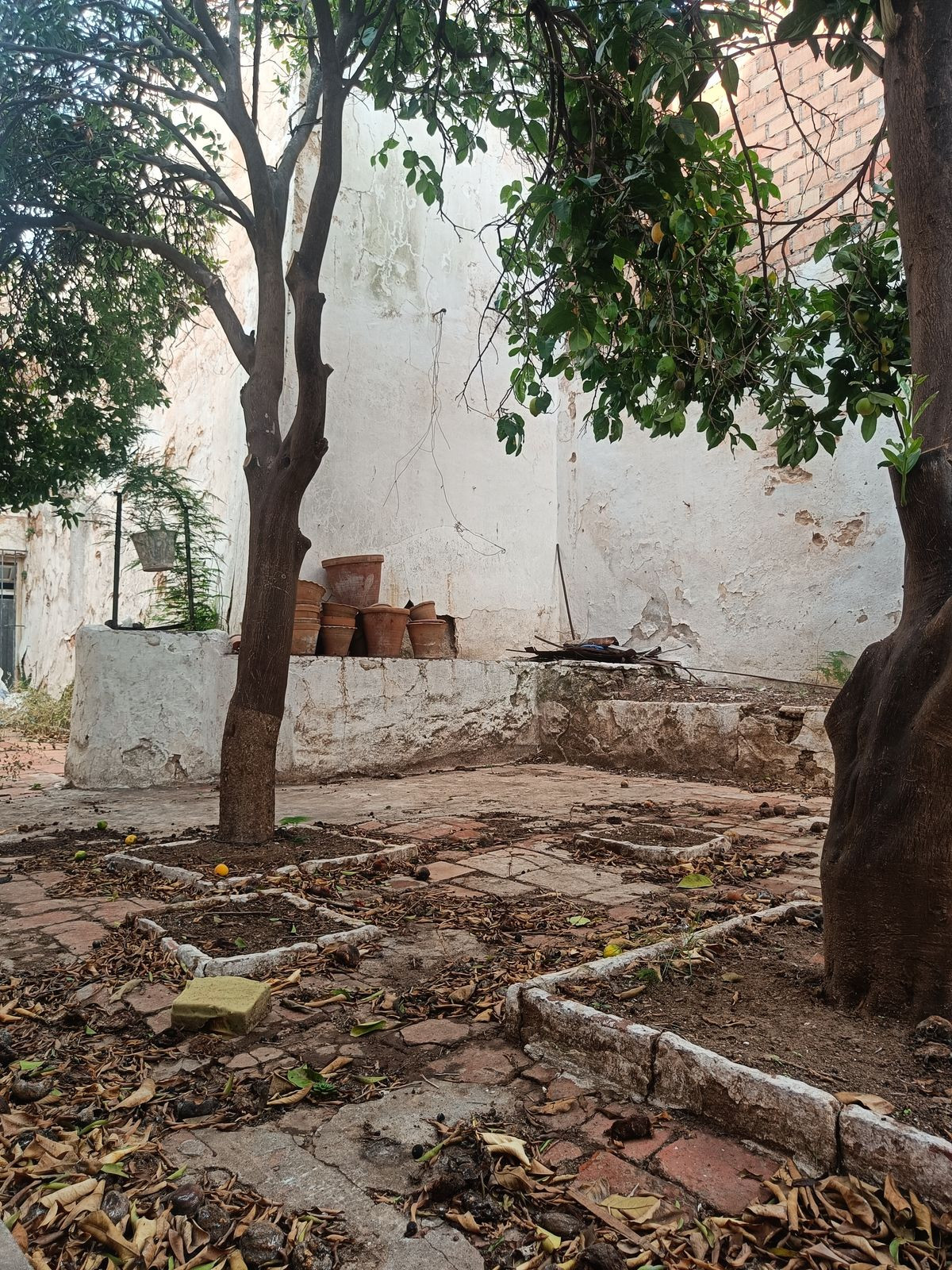 097ef68ed1f08e5762b592936a2193e5 - 32