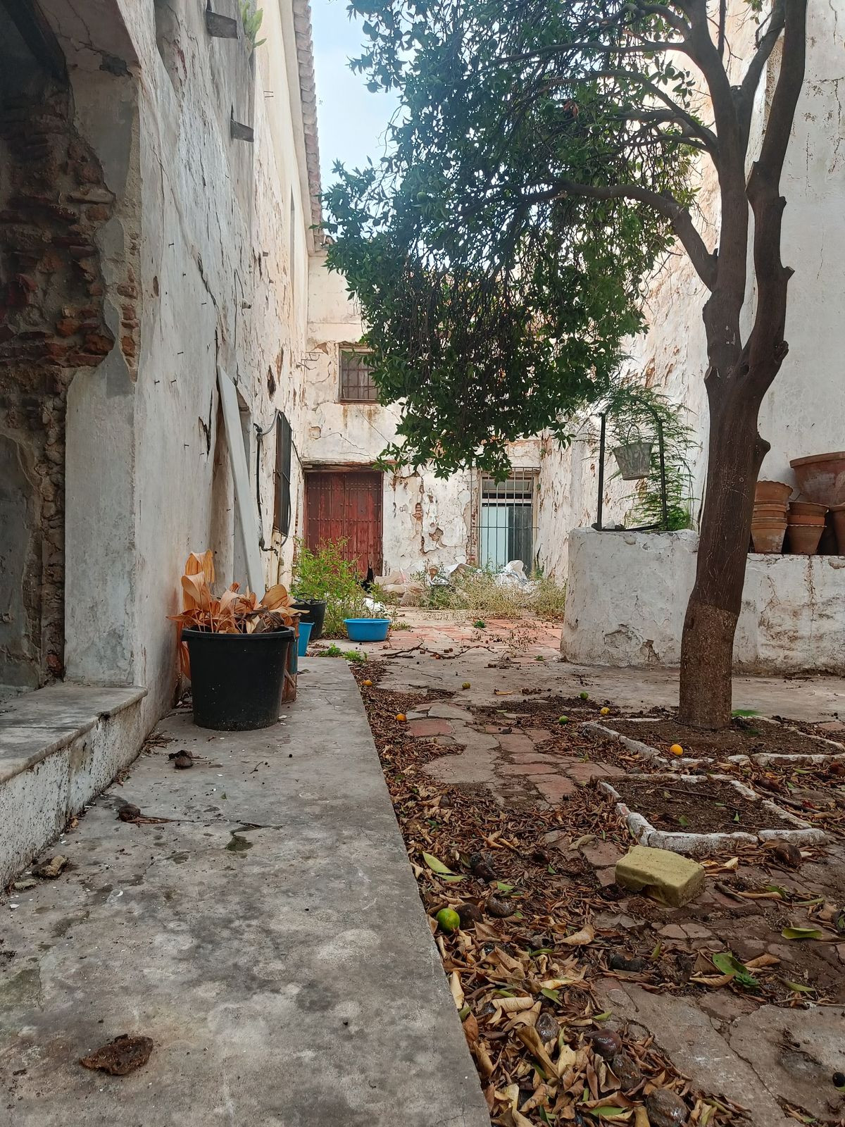 097ef68ed1f08e5762b592936a2193e5 - 33