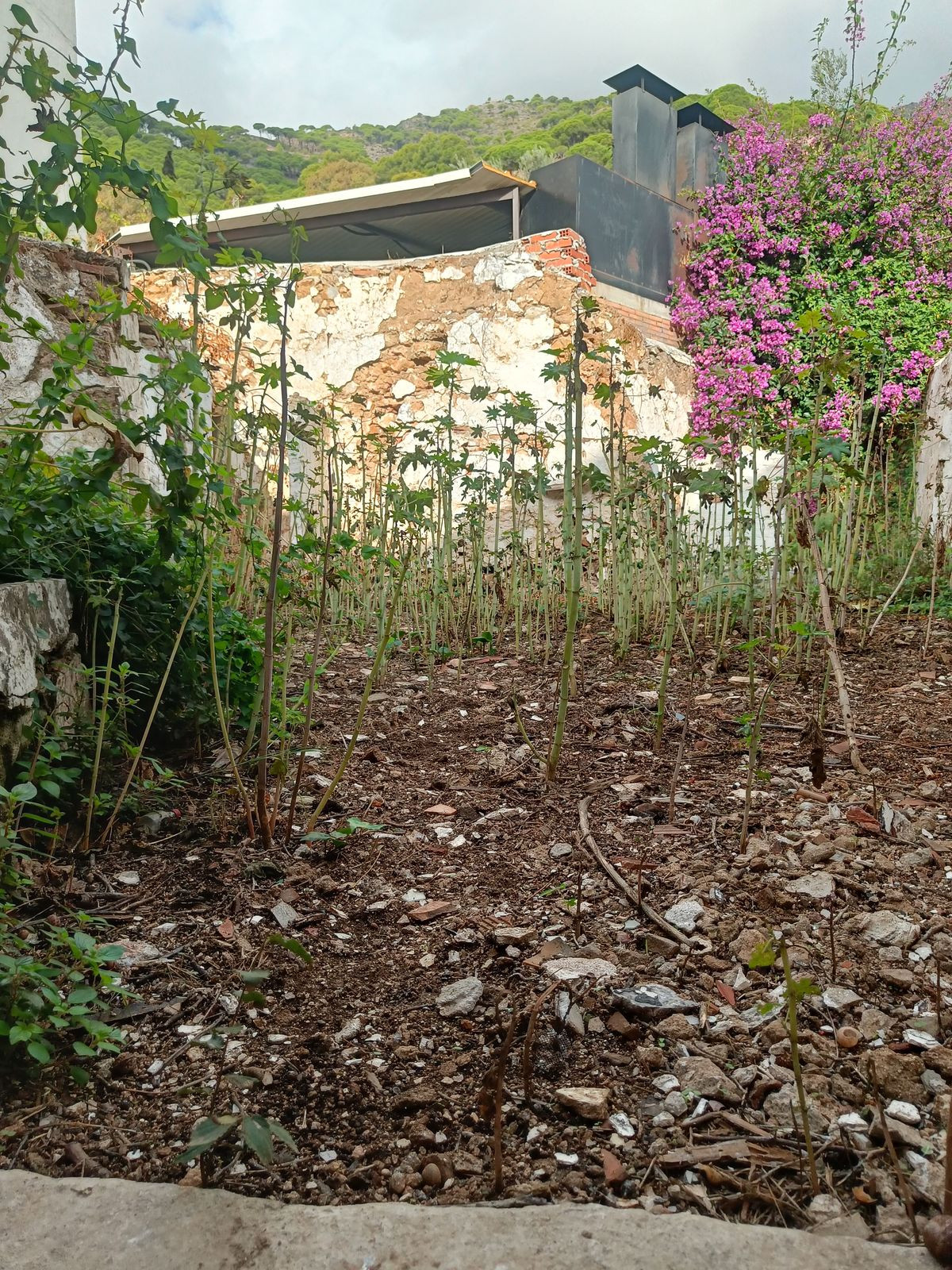 097ef68ed1f08e5762b592936a2193e5 - 35