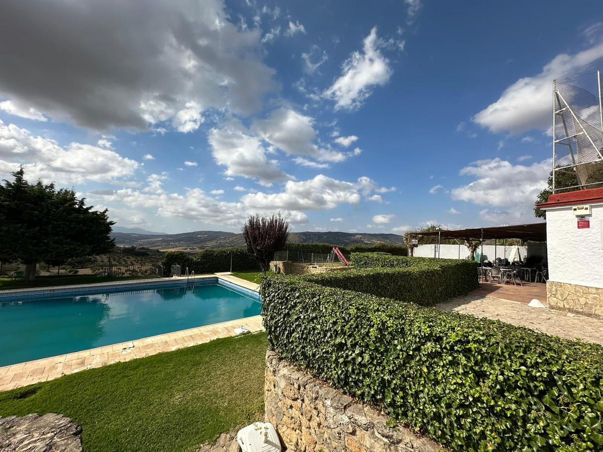 12d1d569c1ba3d3eea63b3ac63990dbb - 19