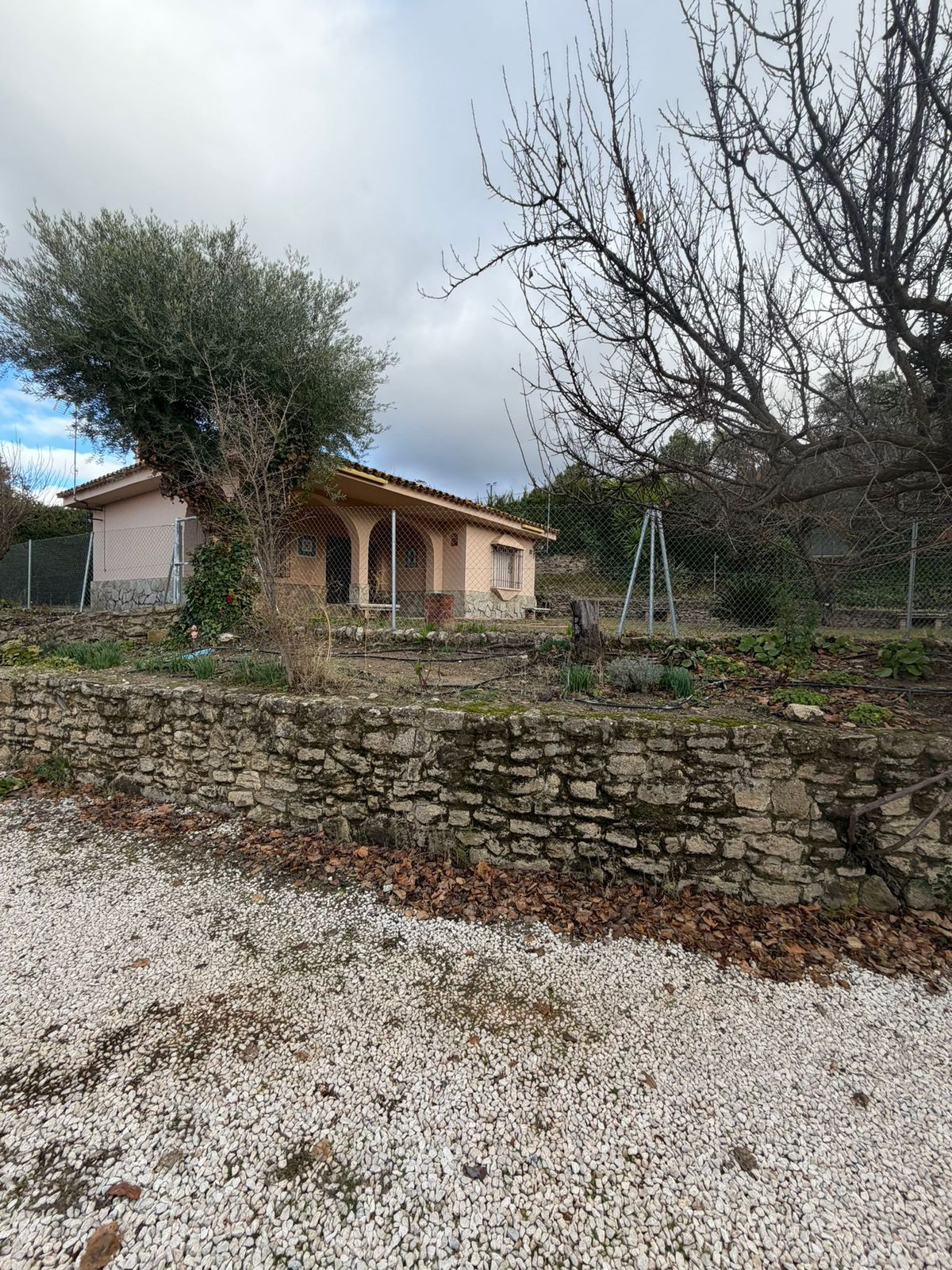 12d1d569c1ba3d3eea63b3ac63990dbb - 31