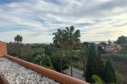 132a3175a72685a3b13ef8cede3f06e1 - 24