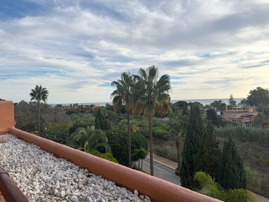 132a3175a72685a3b13ef8cede3f06e1 - 24