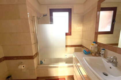 132a3175a72685a3b13ef8cede3f06e1 - 29