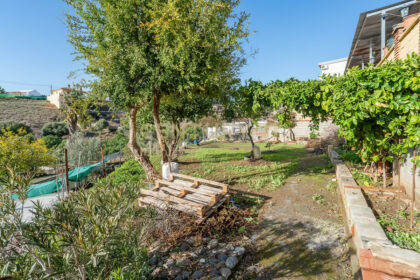 163a91f2afa7b920ed6af98891432795 - 3