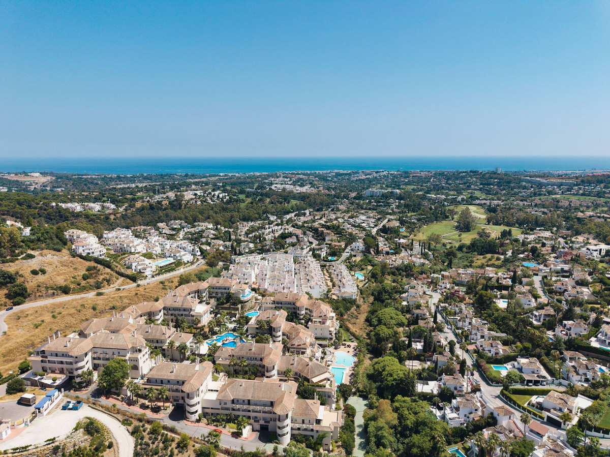 16595936c0d8c2ef8a9ce6483a795476 - 29