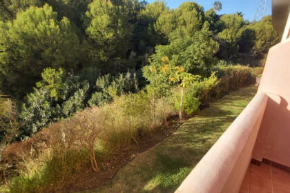 17db50109e7ff01b7208355b22606820 - 11