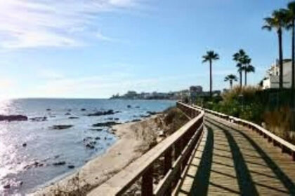 17db50109e7ff01b7208355b22606820 - 3