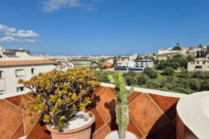 1c4bdd3185292e5730c6c4d8e028775d - 20