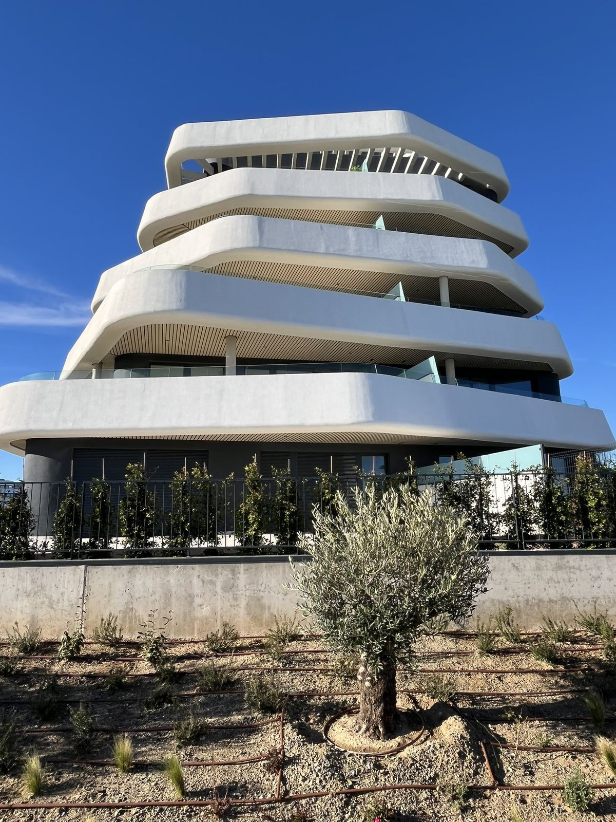 271bf4192abc34c96d112d674a69bf46 - 61