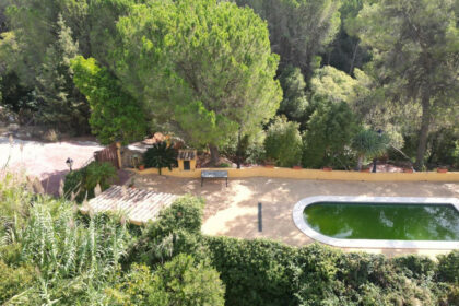 2a1a1dfe6df9df65fdae6b136d4c83b1 - 10