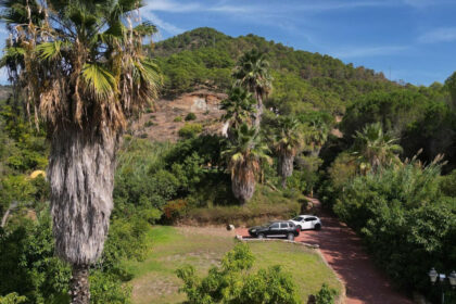 2a1a1dfe6df9df65fdae6b136d4c83b1 - 16