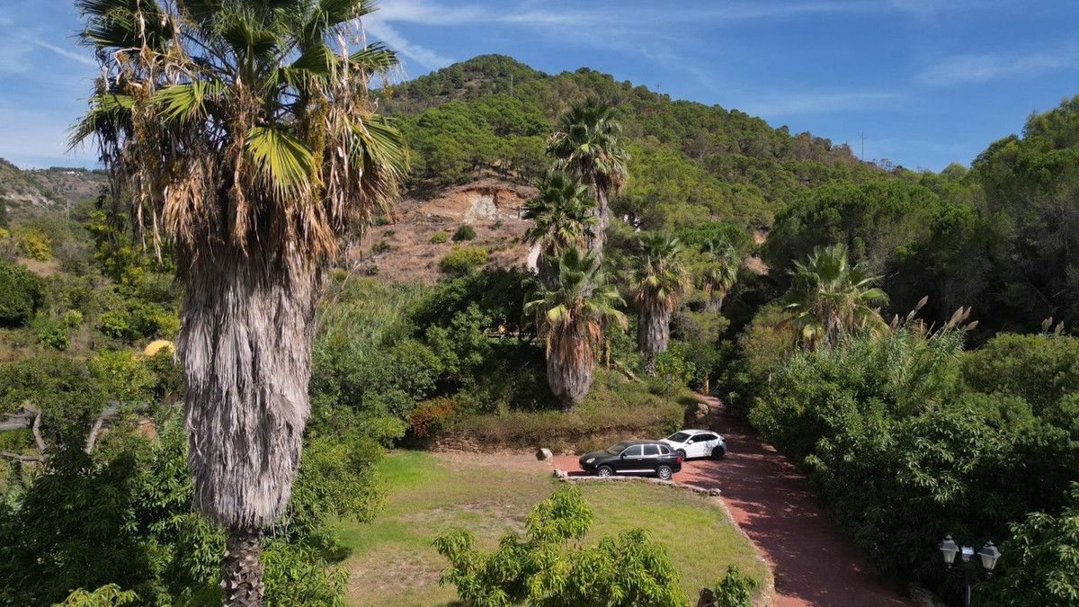 2a1a1dfe6df9df65fdae6b136d4c83b1 - 16