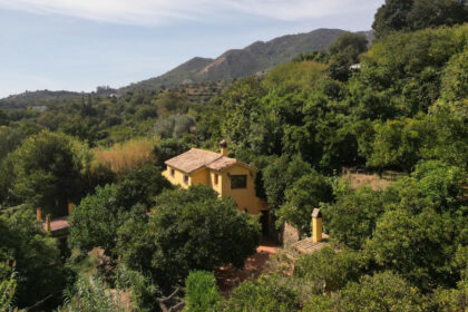 2a1a1dfe6df9df65fdae6b136d4c83b1 - 17