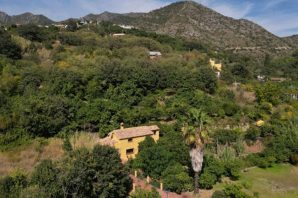 2a1a1dfe6df9df65fdae6b136d4c83b1 - 18