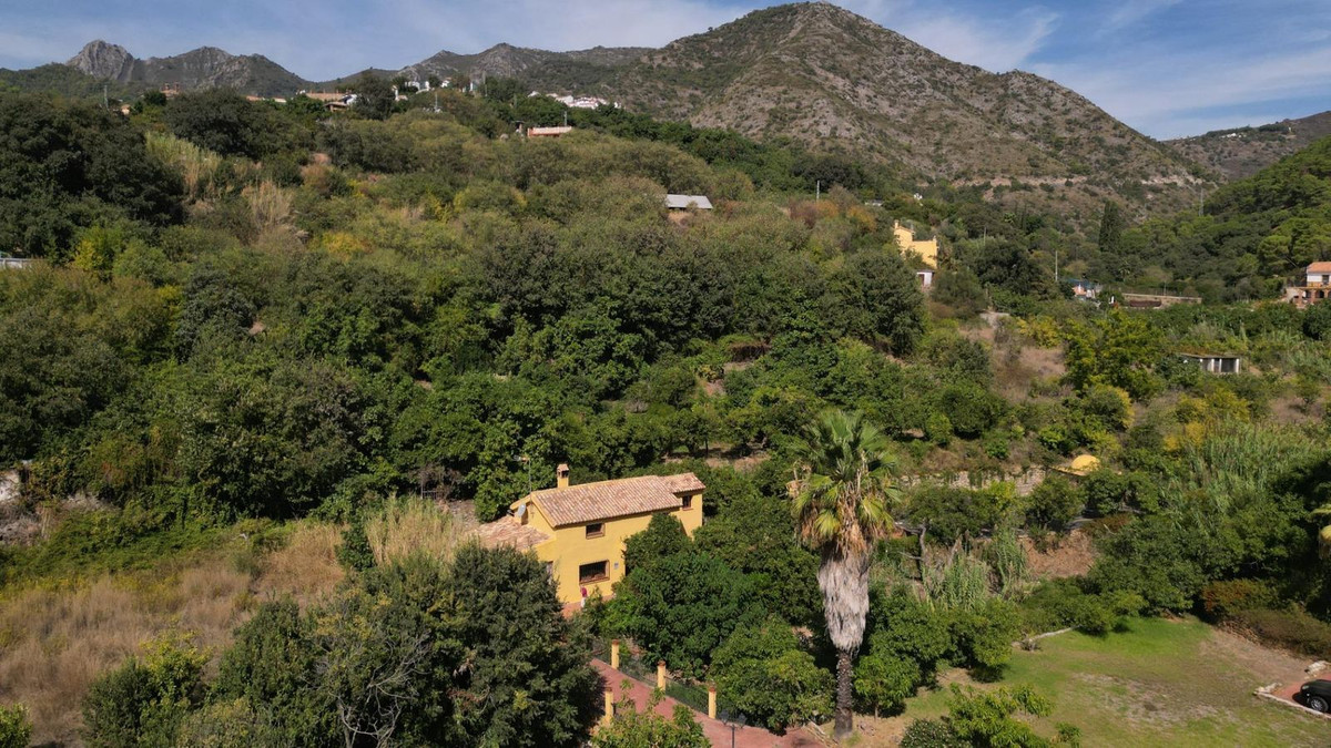 2a1a1dfe6df9df65fdae6b136d4c83b1 - 18