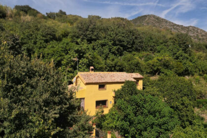 2a1a1dfe6df9df65fdae6b136d4c83b1 - 19