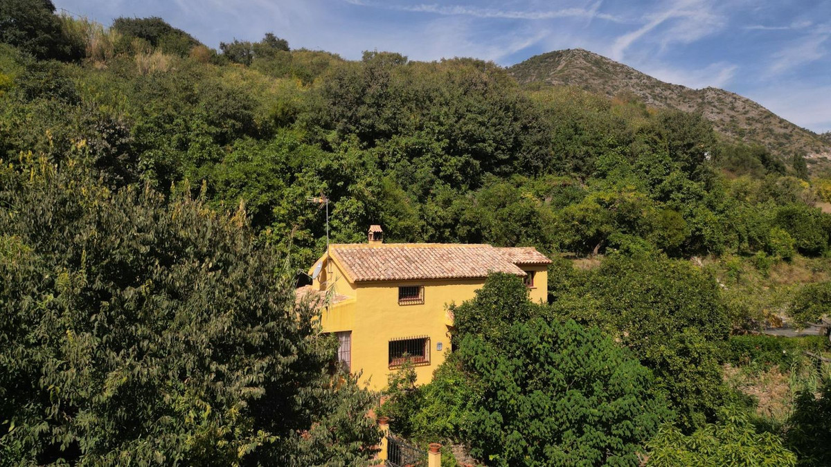 2a1a1dfe6df9df65fdae6b136d4c83b1 - 19