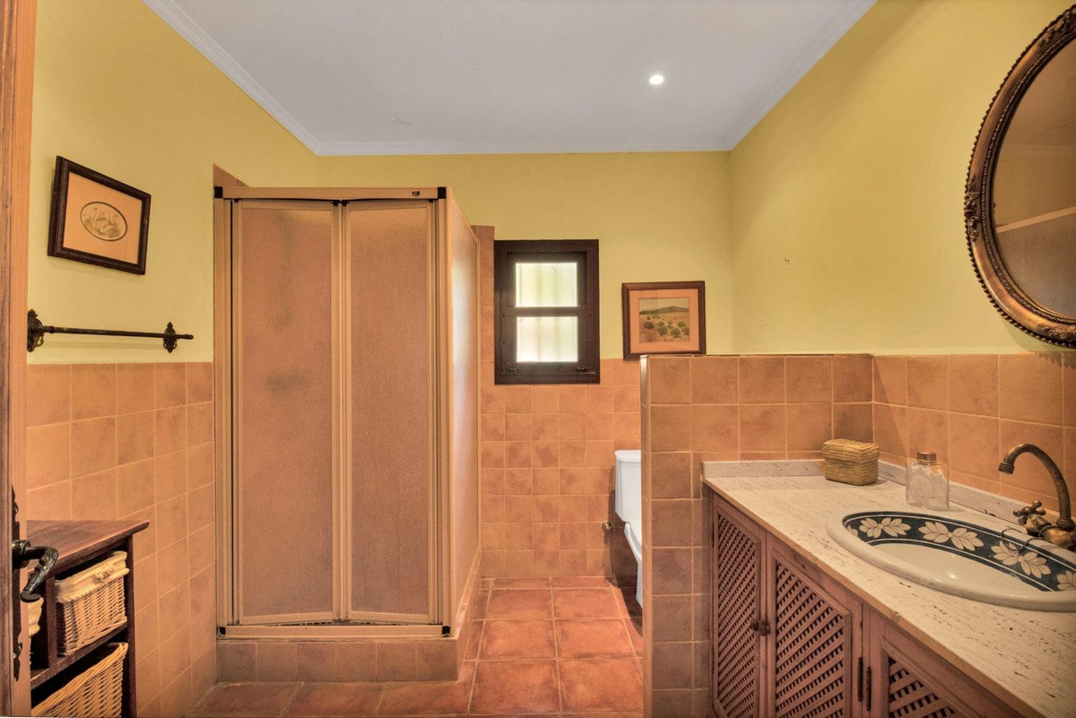 2a1a1dfe6df9df65fdae6b136d4c83b1 - 32