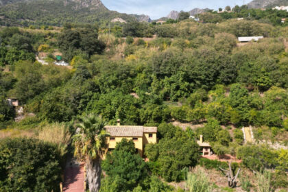 2a1a1dfe6df9df65fdae6b136d4c83b1 - 37