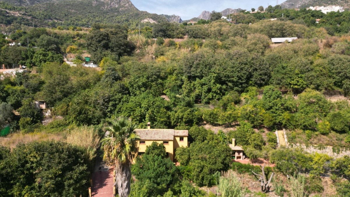 2a1a1dfe6df9df65fdae6b136d4c83b1 - 37