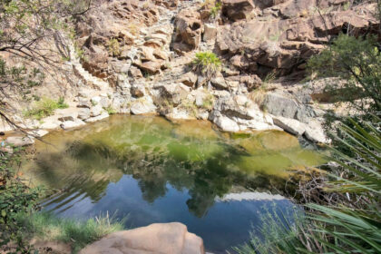 2a1a1dfe6df9df65fdae6b136d4c83b1 - 4