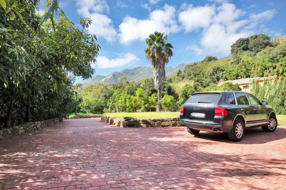 2a1a1dfe6df9df65fdae6b136d4c83b1 - 50