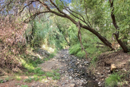 2a1a1dfe6df9df65fdae6b136d4c83b1 - 67