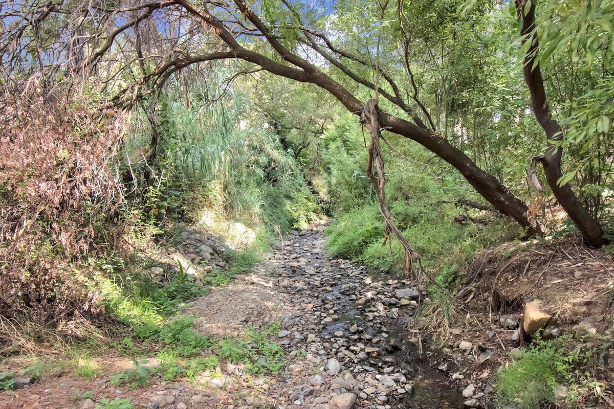 2a1a1dfe6df9df65fdae6b136d4c83b1 - 67