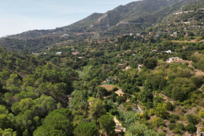 2a1a1dfe6df9df65fdae6b136d4c83b1 - 69