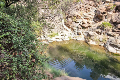 2a1a1dfe6df9df65fdae6b136d4c83b1 - 71