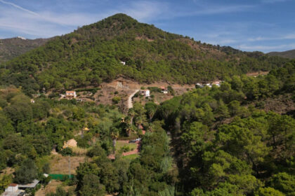 2a1a1dfe6df9df65fdae6b136d4c83b1 - 77