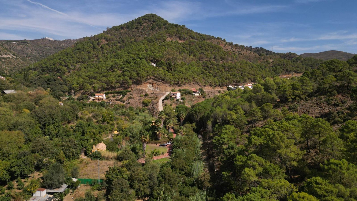 2a1a1dfe6df9df65fdae6b136d4c83b1 - 77