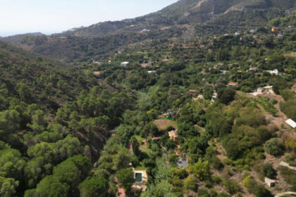 2a1a1dfe6df9df65fdae6b136d4c83b1 - 79