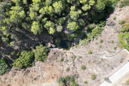 2a1a1dfe6df9df65fdae6b136d4c83b1 - 81