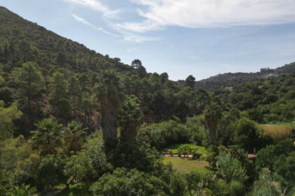 2a1a1dfe6df9df65fdae6b136d4c83b1 - 82