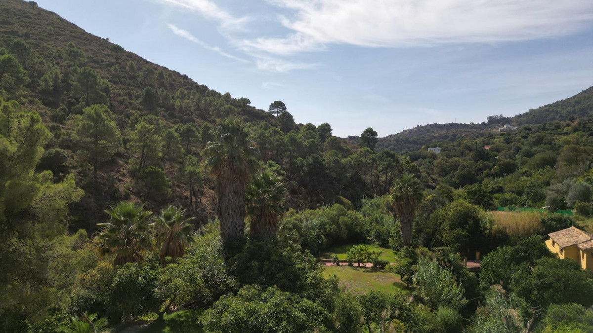 2a1a1dfe6df9df65fdae6b136d4c83b1 - 82