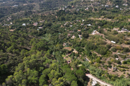 2a1a1dfe6df9df65fdae6b136d4c83b1 - 83