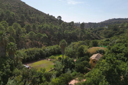 2a1a1dfe6df9df65fdae6b136d4c83b1 - 84