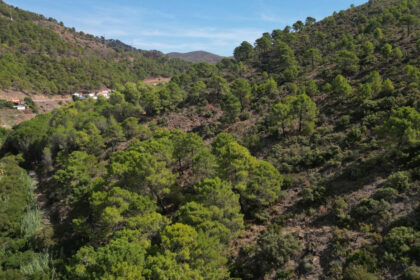 2a1a1dfe6df9df65fdae6b136d4c83b1 - 86