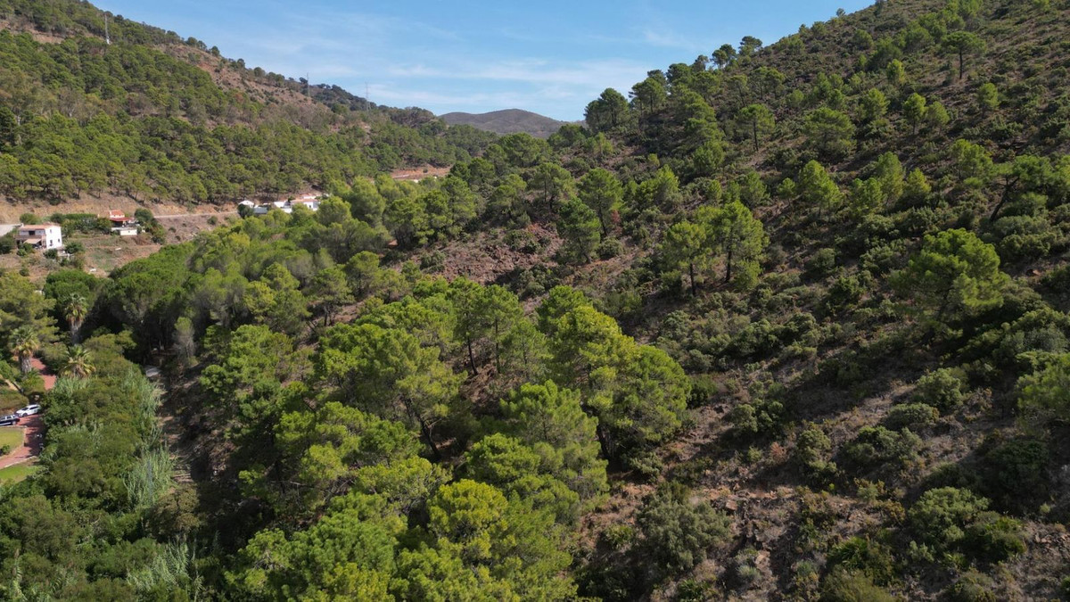 2a1a1dfe6df9df65fdae6b136d4c83b1 - 86