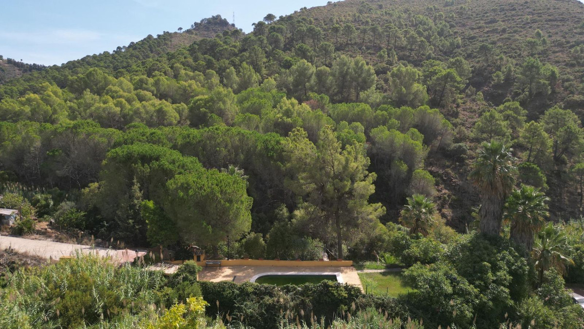 2a1a1dfe6df9df65fdae6b136d4c83b1 - 88