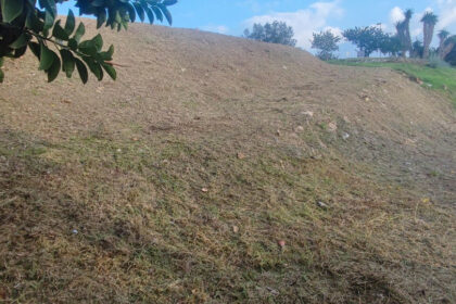 2e478435f0a7894a6296a2cfe98cbaed - 5