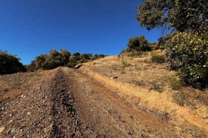 2ee67c7d50bd2ec45f6c34232b9be719 - 2