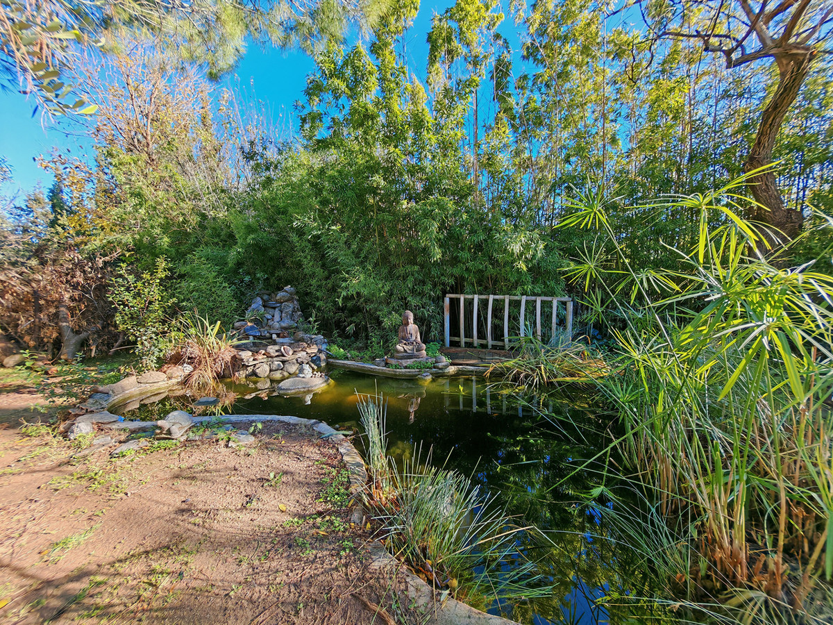 2f95dcae98d5320a403c1d52fc510bf5 - 18