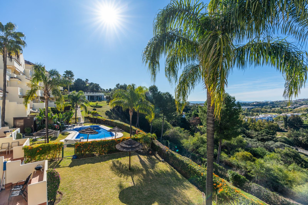 32474881f51674737b70d5dac10f21cc - 18