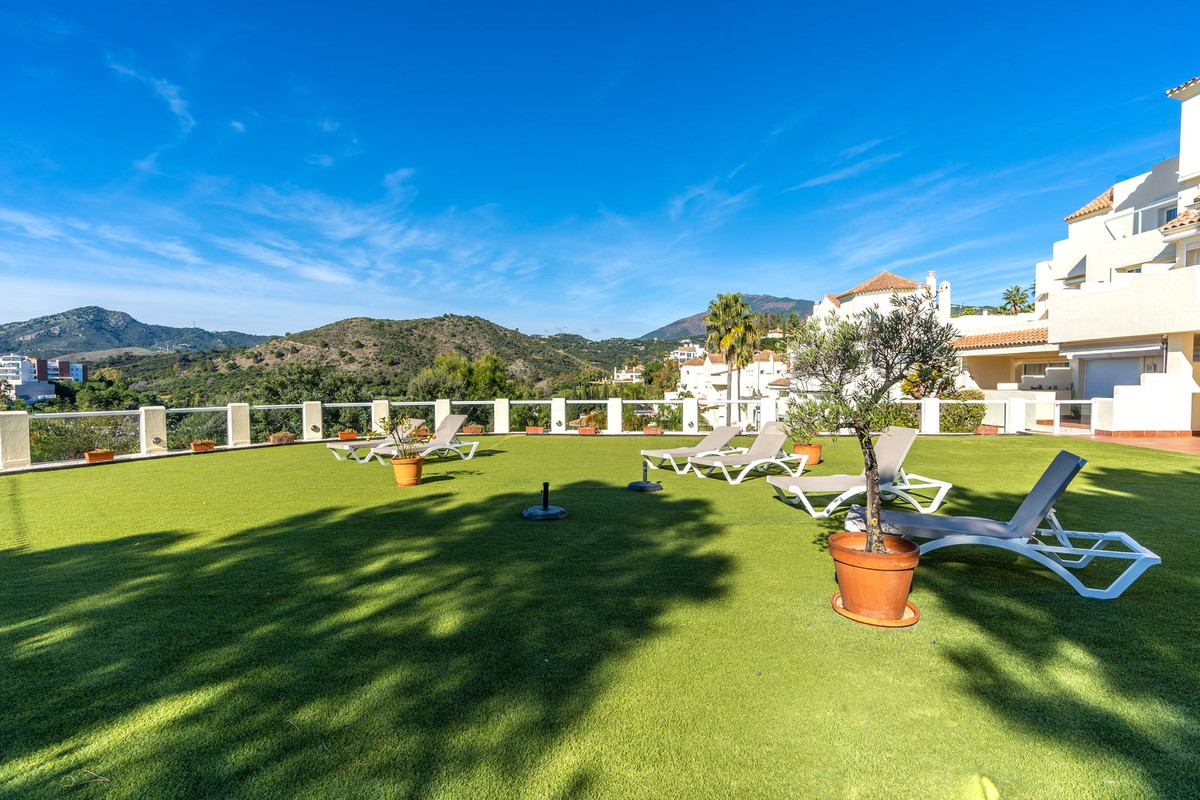 32474881f51674737b70d5dac10f21cc - 3