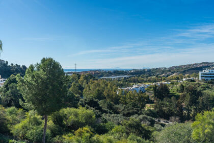 32474881f51674737b70d5dac10f21cc - 31